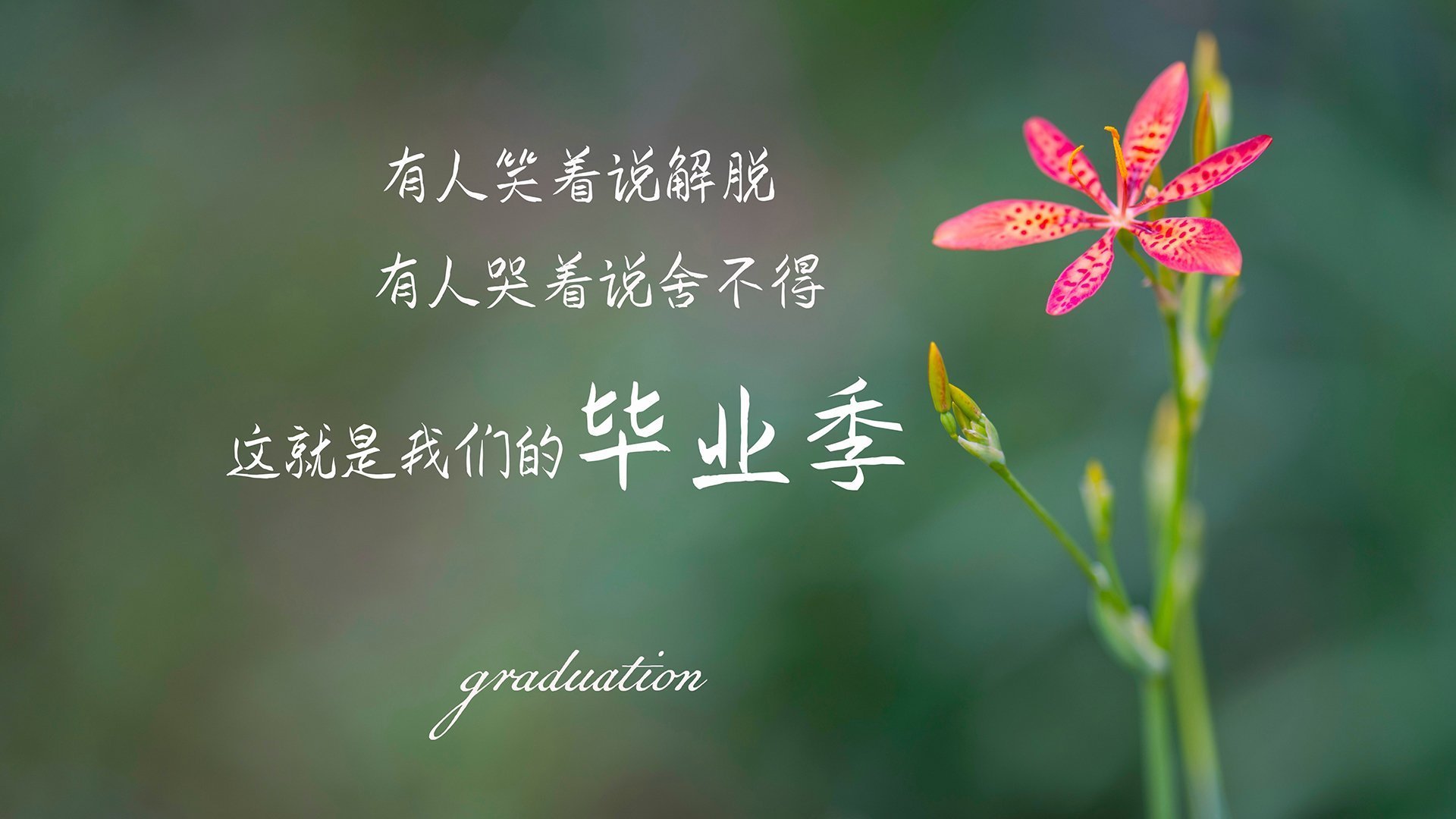 梦幻表演：亚洲足球明星齐聚同台，亚洲足球10大球星