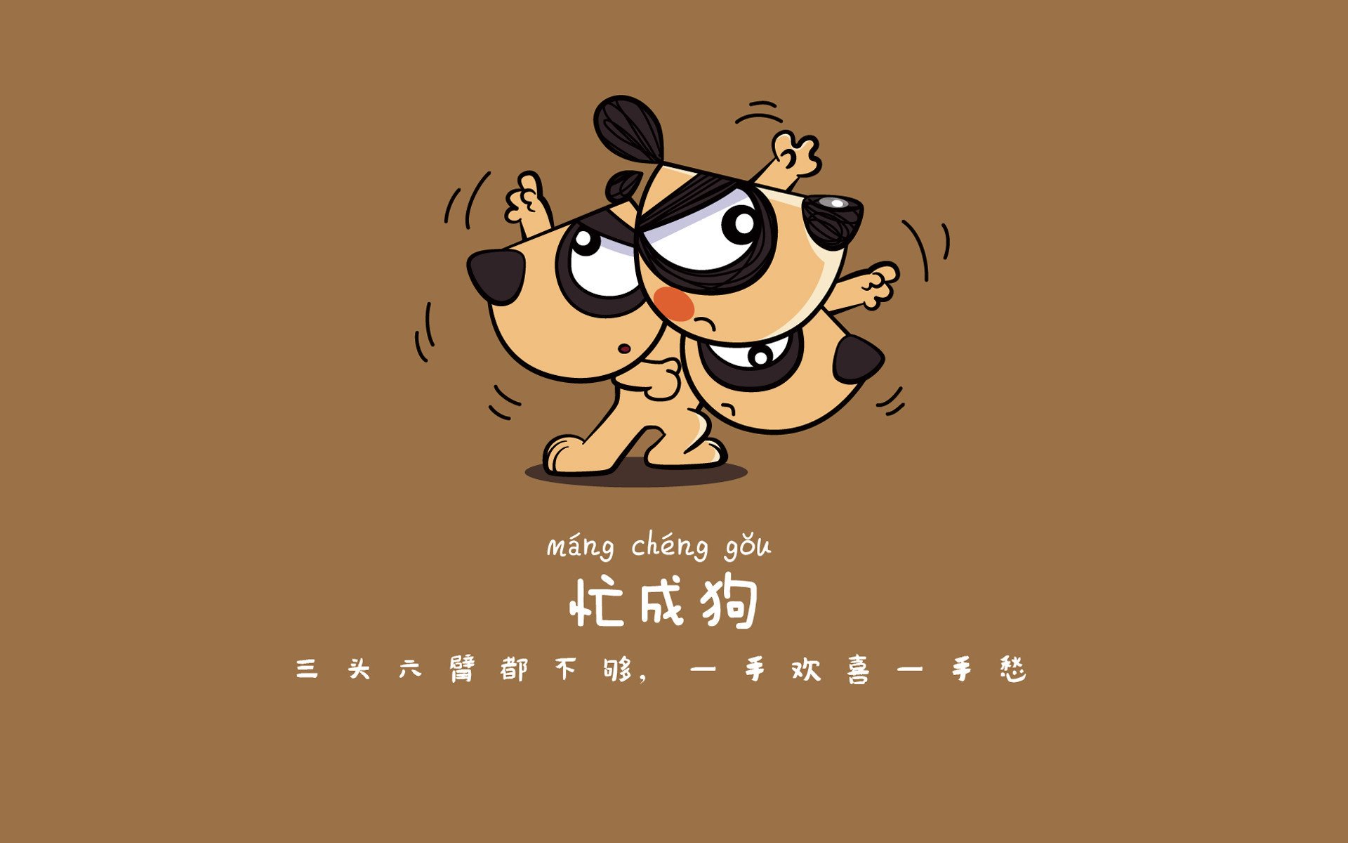 大满贯选手马龙再创辉煌，金牌又一枚，大满贯得主马龙