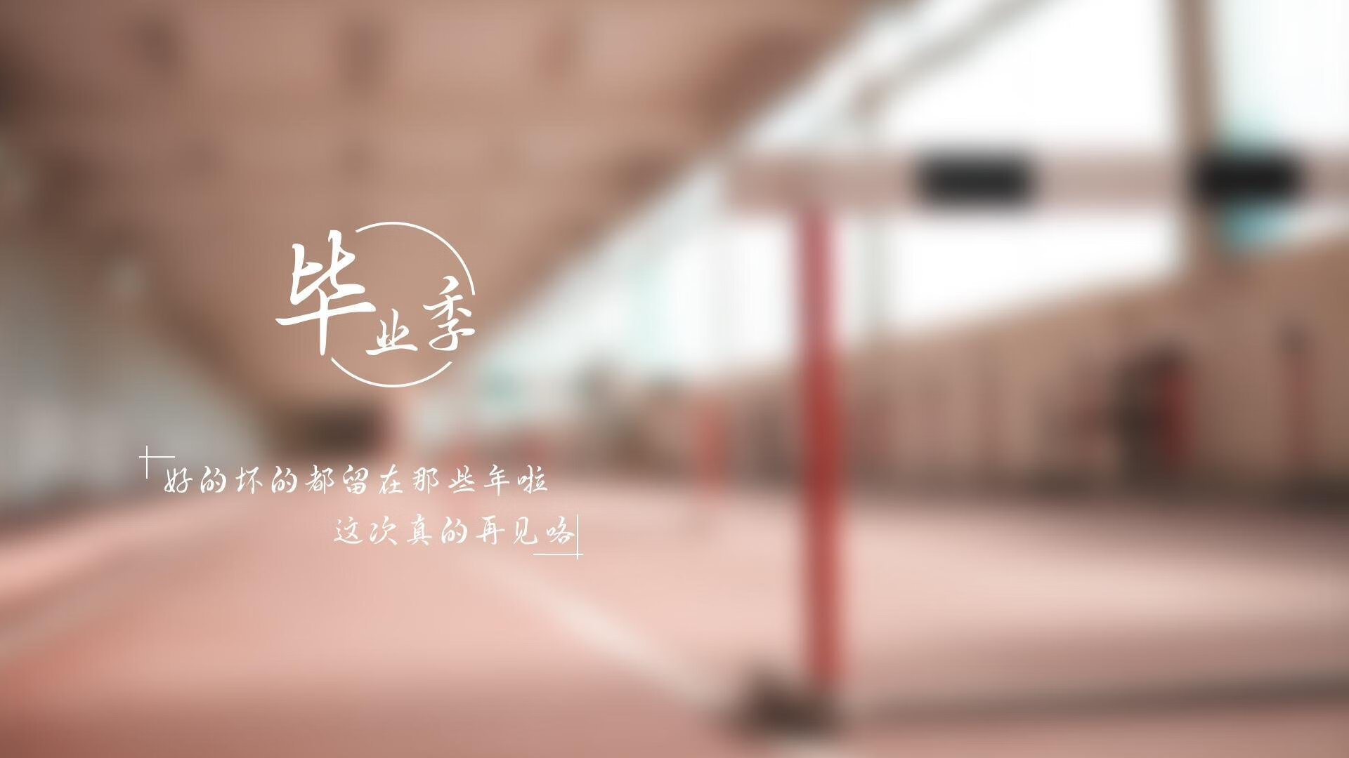 混合泳预赛德国队战术安排合理，混合泳决赛视频