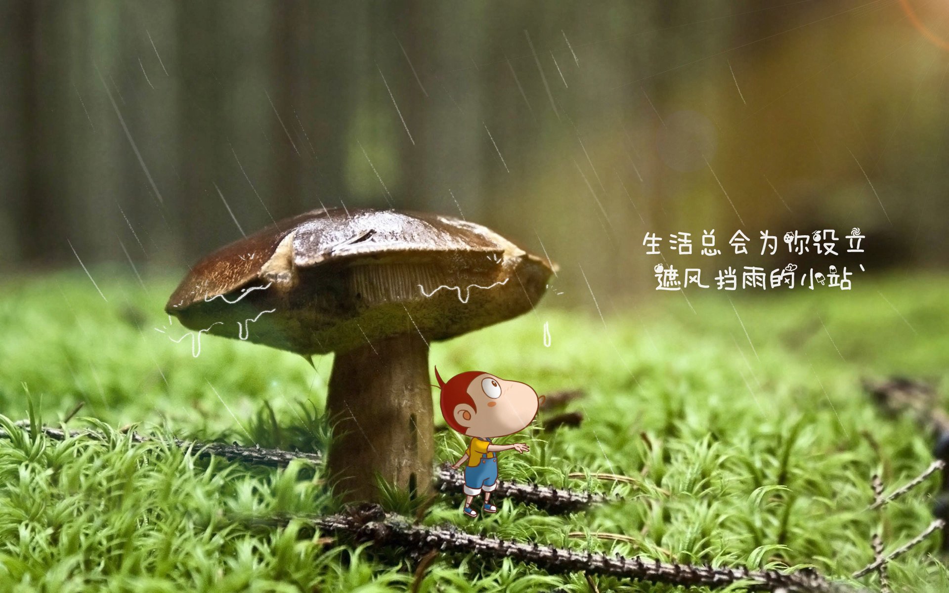 世界杯绝佳进球：令人热血沸腾的瞬间合集，足球世界杯精彩进球集锦