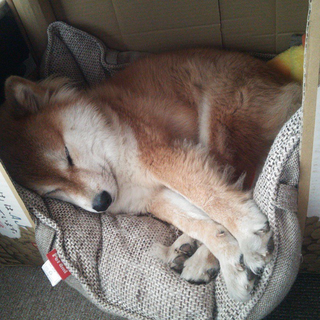 FB真人电子游戏-陈佳力压群芳摘金而归