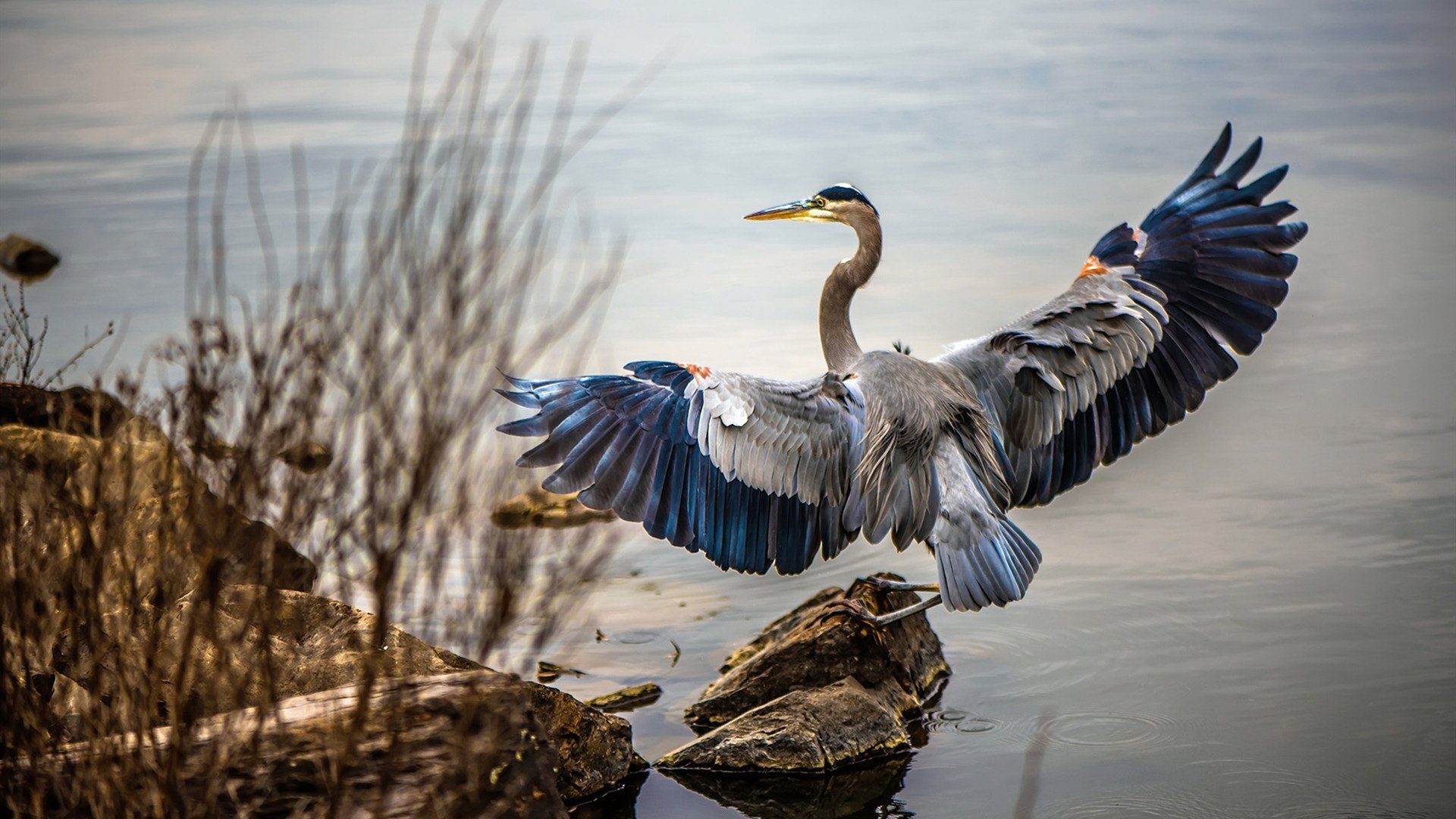fb体育登录入口-青训球员首次亮相正式比赛完成破门展现巨大潜力，青训队啥意思